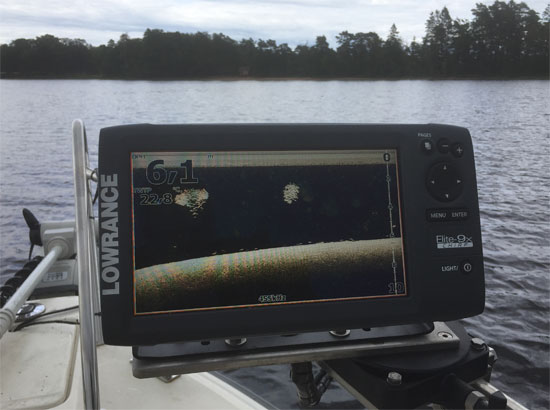 Beim Raubfischangeln in Schweden ist es immer gut Friedfischschwärme auf dem Echolot zu entdecken.